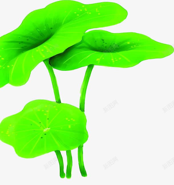 夏日植物海报荷叶插画png免抠素材_新图网 https://ixintu.com 夏日 插画 植物 海报 荷叶