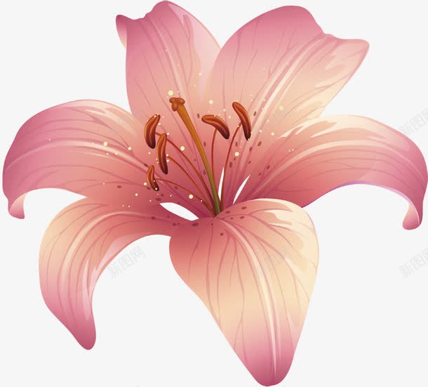 粉色女性可爱花朵png免抠素材_新图网 https://ixintu.com 可爱 女性 粉色 花朵