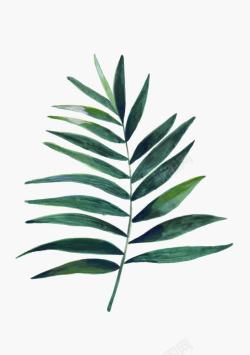海报绿色植物树叶叶子素材
