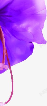 紫色夏日海报花朵素材