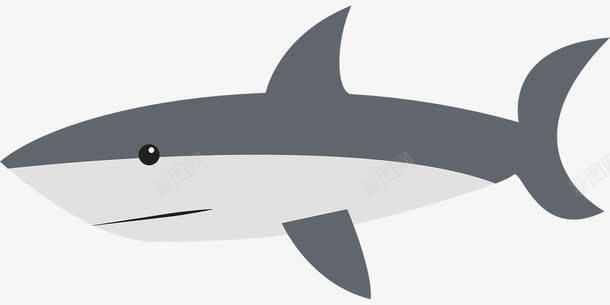 游动的鲨鱼png免抠素材_新图网 https://ixintu.com 海洋 游动 血腥 鲨鱼