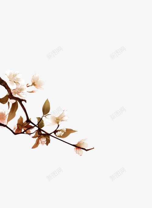 白色花朵绿色叶子绿色树枝png免抠素材_新图网 https://ixintu.com 叶子 树枝 白色 绿色 花朵