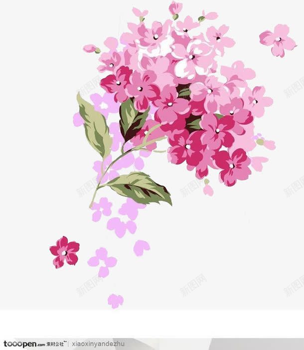 水彩花卉海报png免抠素材_新图网 https://ixintu.com 水彩 海报 素材 花卉
