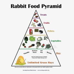 健康饮食安排英语每天膳食金字塔高清图片