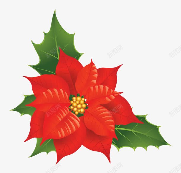 美丽圣诞花png免抠素材_新图网 https://ixintu.com png素材 圣诞节 红色 绿叶 装饰