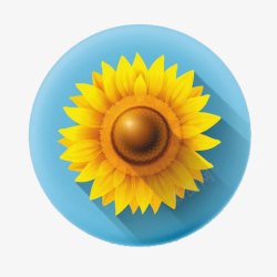 3D向日葵花朵素材