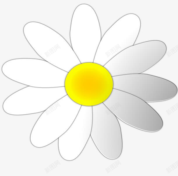 白色雏菊png免抠素材_新图网 https://ixintu.com 图案设计 白色雏菊 花 雏菊