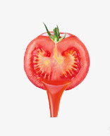 红色西红柿png免抠素材_新图网 https://ixintu.com 红色 蔬菜 西红柿 西红柿汁 食物