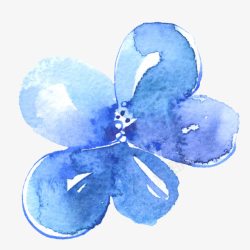 水彩蓝色花素材