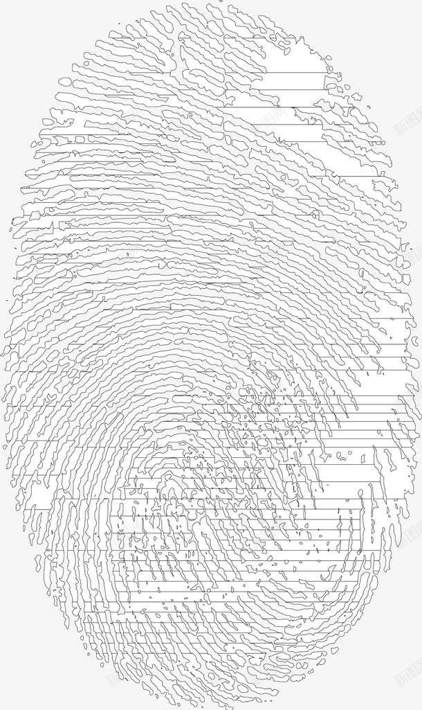 指纹纹理png免抠素材_新图网 https://ixintu.com 扫描指纹 指纹扫描 指纹素材 漂亮指纹 矢量指纹素材