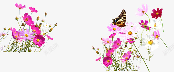 花朵装饰图png免抠素材_新图网 https://ixintu.com 绿色植物装饰花边粉红色小花蝴蝶