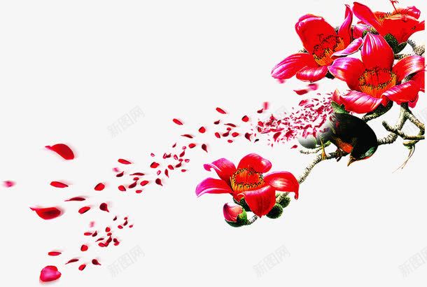 手绘红色鲜红花朵植物png免抠素材_新图网 https://ixintu.com 植物 红色 花朵 鲜红