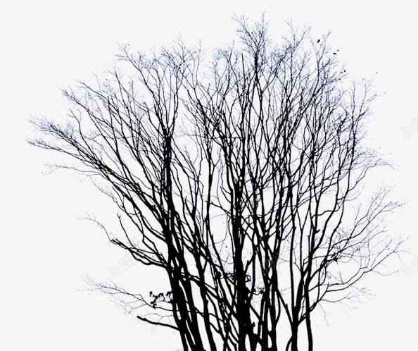 创意合成黑色的树枝合成png免抠素材_新图网 https://ixintu.com 创意 合成 树枝 黑色