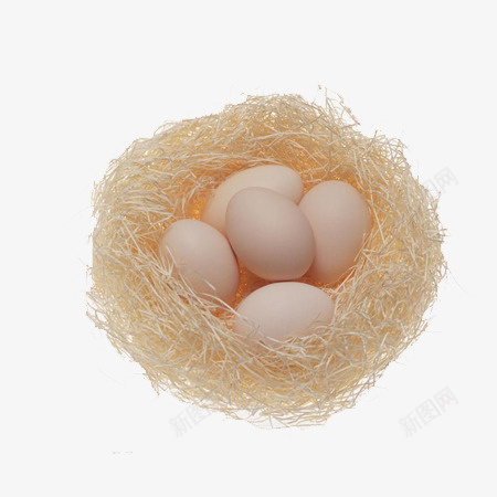 窝里的蛋png免抠素材_新图网 https://ixintu.com 漂亮的窝 窝里的鸟蛋 金色的窝 金色窝里的蛋