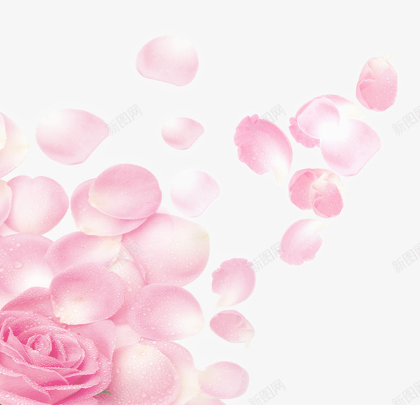 粉色鲜花花瓣装饰图案png免抠素材_新图网 https://ixintu.com 免抠PNG 粉色 花瓣 装饰图案 鲜花