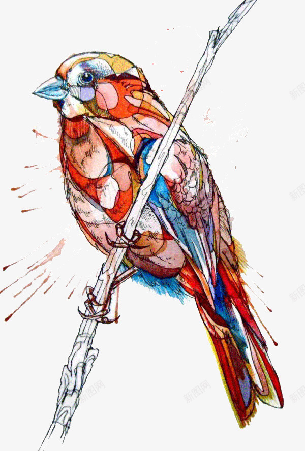 创意彩色小鸟水彩画png免抠素材_新图网 https://ixintu.com 创意 动物 小鸟 彩绘 彩色 手绘 水彩画 设计