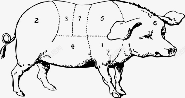 手绘的猪psd免抠素材_新图网 https://ixintu.com 分块的猪 大猪 手绘的猪 猪