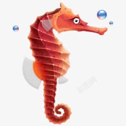 seahorse海马图标高清图片