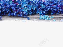 蓝色花蕾ppt模板素材