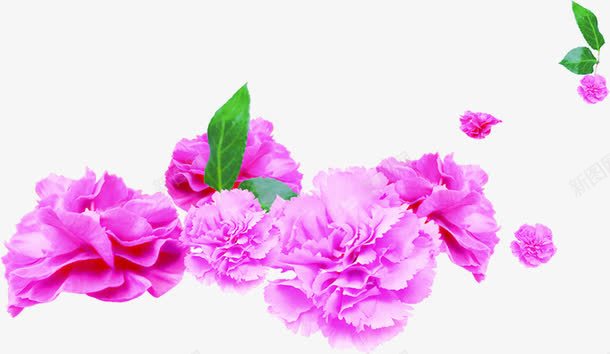 紫色唯美花朵植物树叶png免抠素材_新图网 https://ixintu.com 树叶 植物 紫色 花朵