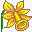 daffodilF12图标高清图片