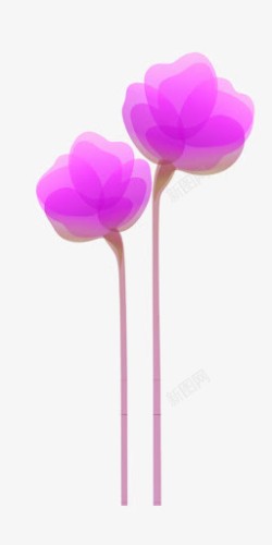 紫色梦幻花素材