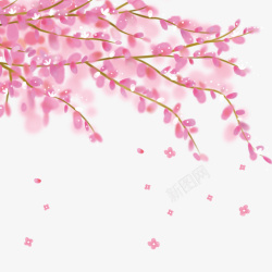 花卉装饰图粉色唯美装饰桃花高清图片