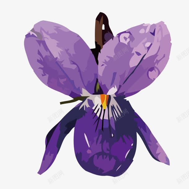 蝴蝶兰png免抠素材_新图网 https://ixintu.com 开放 春天 紫色 花卉
