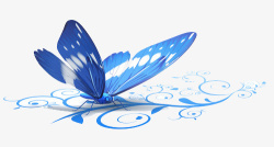 大多数幼虫飞舞蓝蝴蝶高清图片