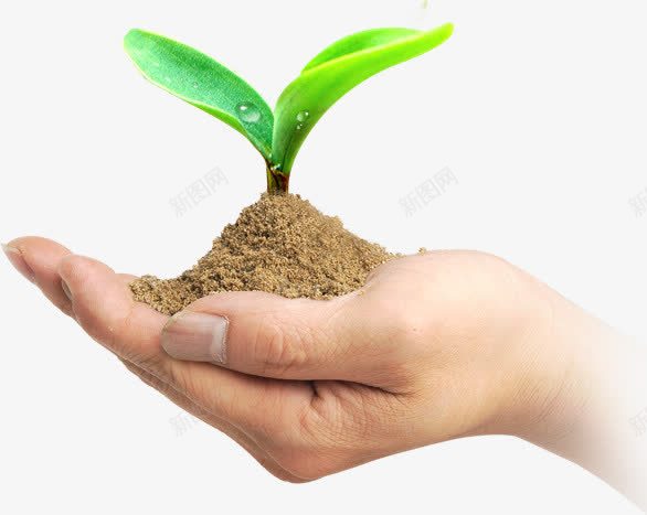 土壤发芽植物手掌png免抠素材_新图网 https://ixintu.com 发芽 土壤 手掌 植物