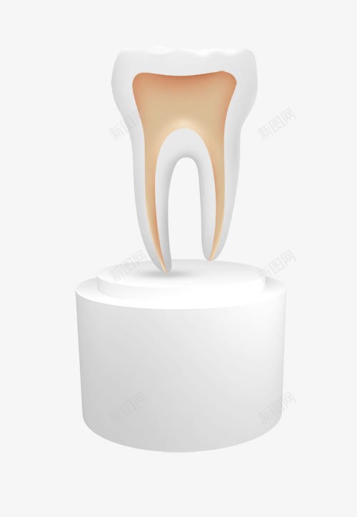 医疗健康主题元素png免抠素材_新图网 https://ixintu.com 医疗健康主题元素 牙齿 牙齿模型