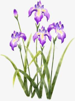手绘紫色简约花朵素材