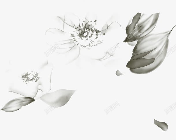 黑色古典花朵植物树叶png免抠素材_新图网 https://ixintu.com 古典 树叶 植物 花朵 黑色