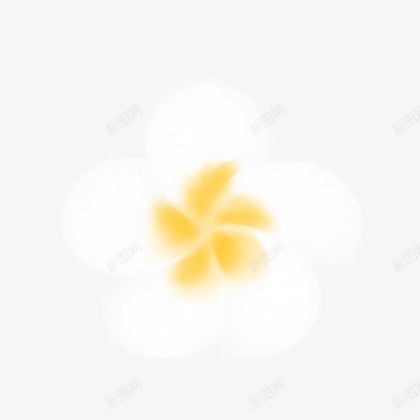 白色花瓣花朵装饰png免抠素材_新图网 https://ixintu.com 白色 素材 花朵 花瓣 装饰