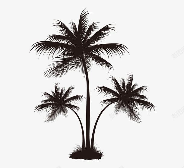 黑色椰子树图案png免抠素材_新图网 https://ixintu.com 椰子树 海南 源文件 生长 黑色