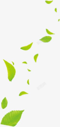 绿色创意漂浮树叶素材