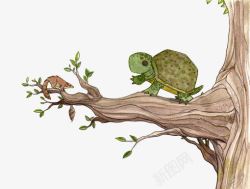 乌龟上树小乌龟高清图片