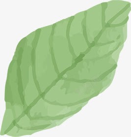 创意水彩合成绿色的植物树叶png免抠素材_新图网 https://ixintu.com 创意 合成 树叶 植物 水彩 绿色