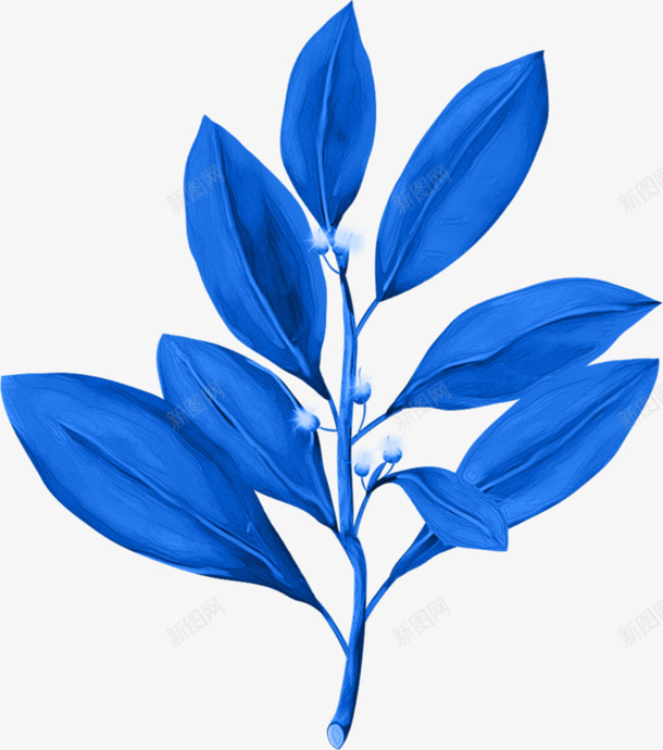 蓝色植物叶子png免抠素材_新图网 https://ixintu.com 叶子 植物 植物叶子 蓝色
