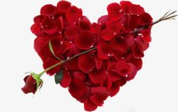 合成的心玫瑰花瓣合成的心高清图片