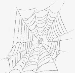 黑白蜘蛛网蜘蛛素材