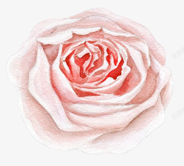 彩绘花朵png免抠素材_新图网 https://ixintu.com 彩绘画 矢量装饰 粉色的花 花 花朵 装饰