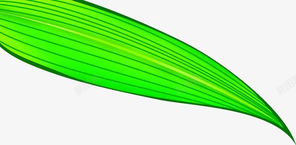 绿色叶子卡通手绘png免抠素材_新图网 https://ixintu.com 卡通 叶子 手绘 绿色