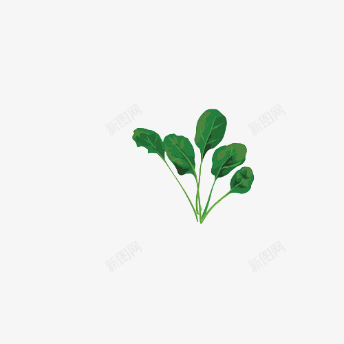 手绘绿色蔬菜png免抠素材_新图网 https://ixintu.com 简约 绿色蔬菜 蔬菜 蔬菜蔬菜