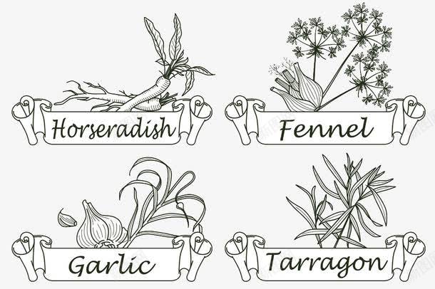 植物简图png免抠素材_新图网 https://ixintu.com 香草香料手绘简笔植物餐饮美食