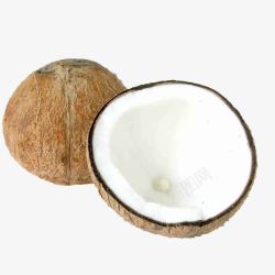 白色椰肉椰果实物图高清图片
