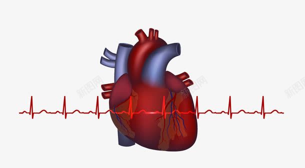 卡通质感人体器官心脏png免抠素材_新图网 https://ixintu.com 人体器官心脏 卡通心脏 心脏素材 矢量心脏 质感心脏