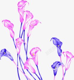 粉蓝色手绘花朵海报素材