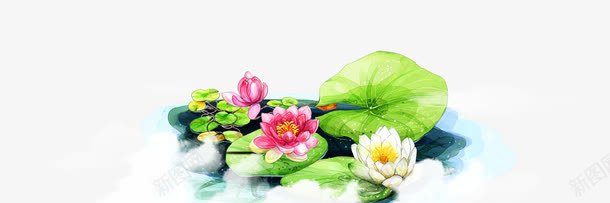 手绘荷花png免抠素材_新图网 https://ixintu.com 中国风 手绘 荷花
