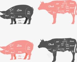 猪与牛素材